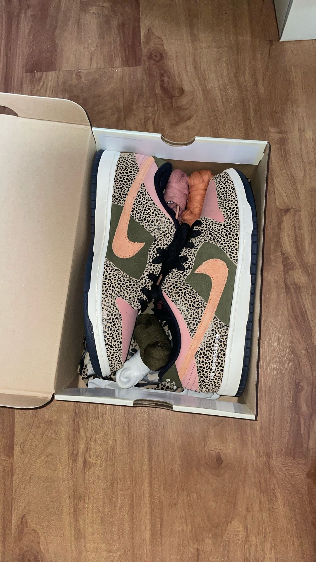 SB Dunk Arts & Rec Size 11