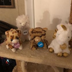 Justice Pets and house