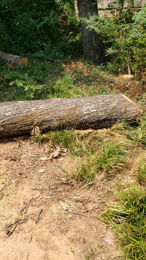 Hickory logs
