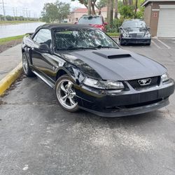 Ford Mustang GT Convertible Manual