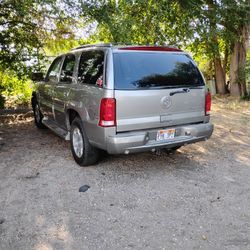 Cadillac, Escalade, Gold, SUV