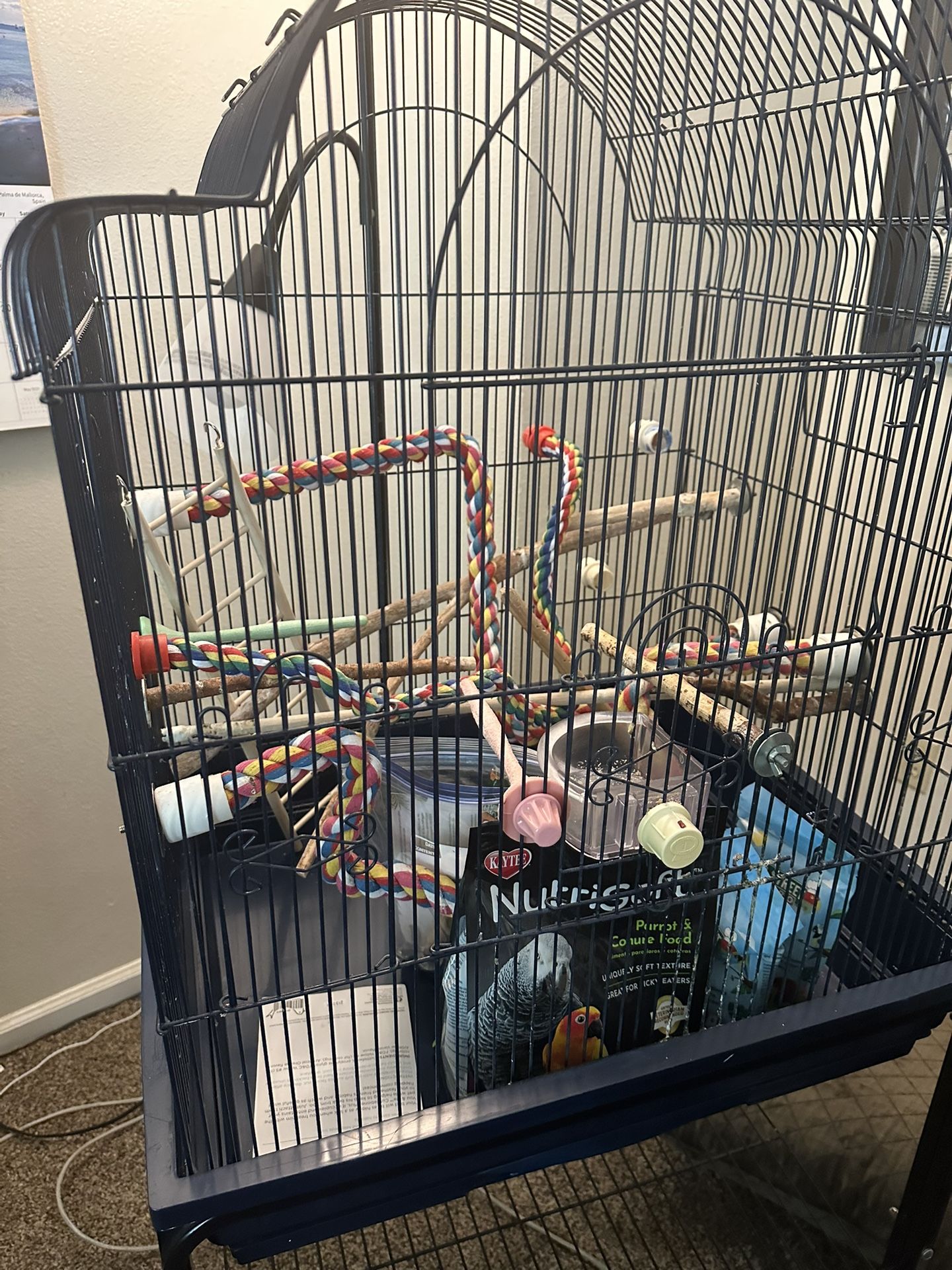 Bird cage & Bird accessories