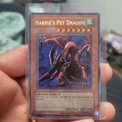 Harpies Pet Dragon 