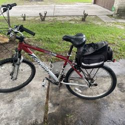 Raleigh Bike