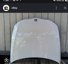 Hood for 2009 bmw