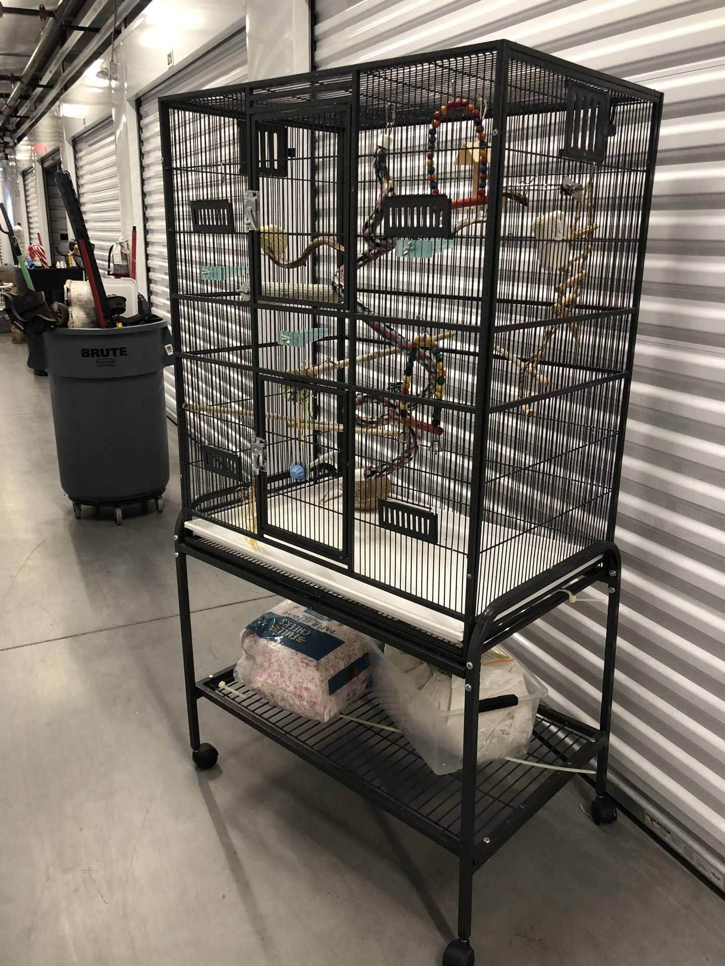 Bird Cage