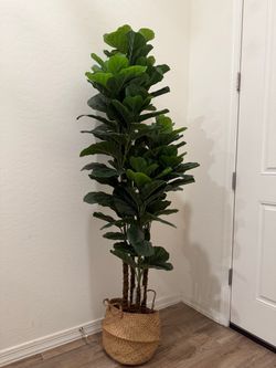 Fiddle Leaf Fig Tree (Plastic fake tree )