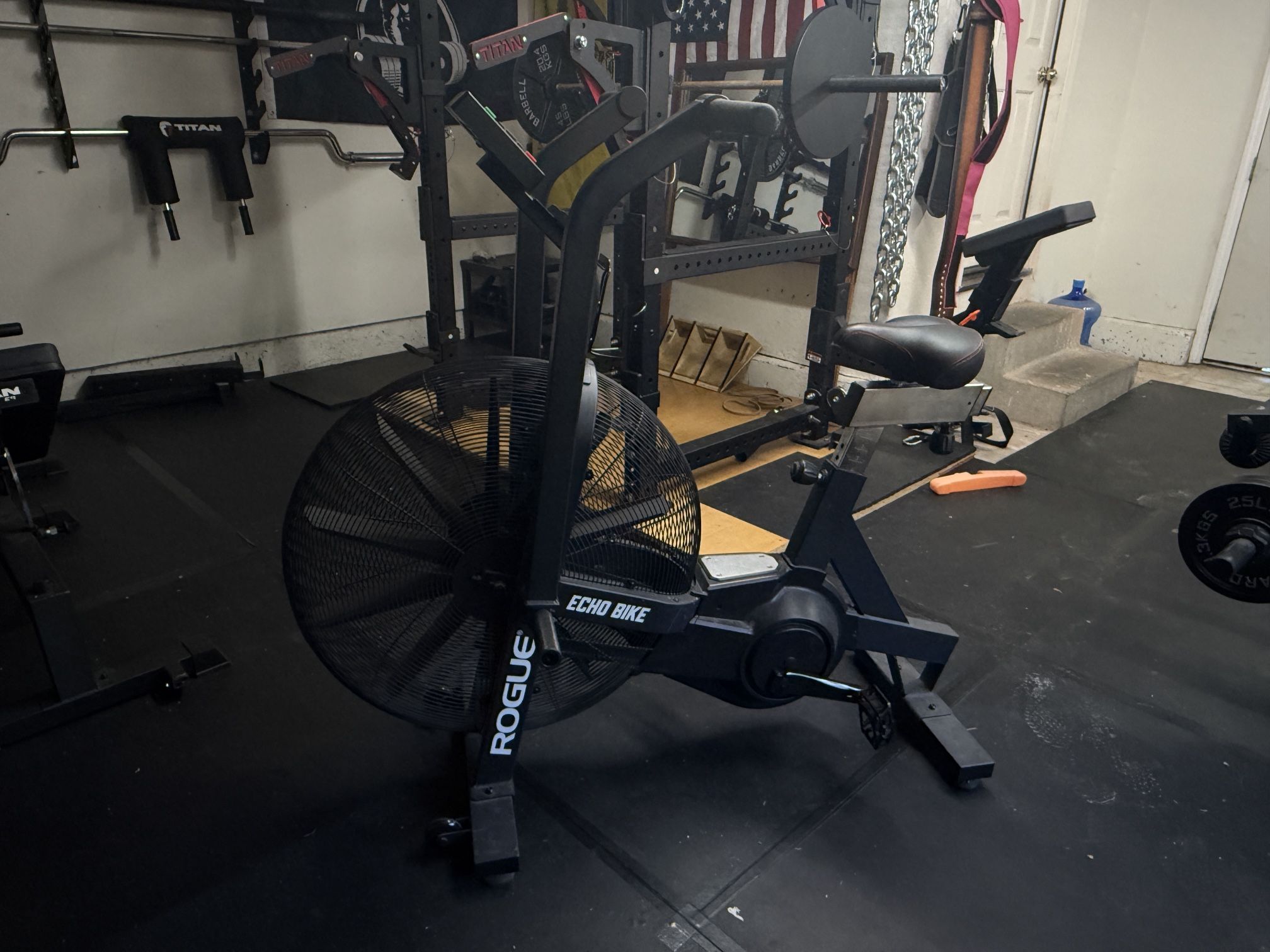 Rogue Echo Bike