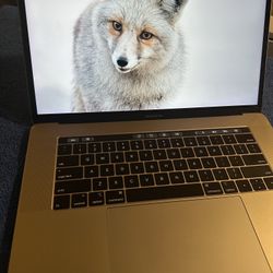 2019 MacBook Pro ( 16 Inch )