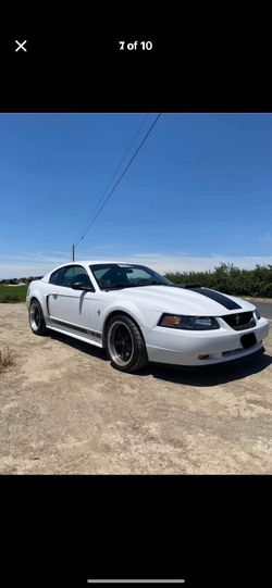 mach1 03
