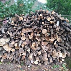 Firewood 