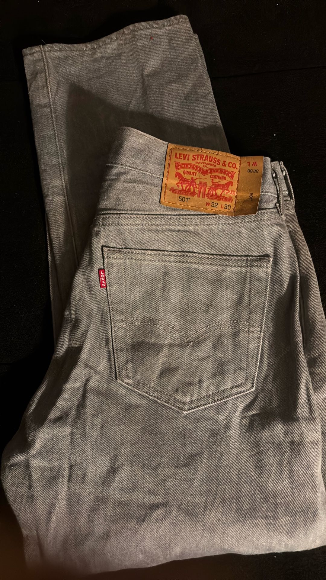 Levi Grey Male Pants