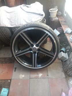 24 Rims 