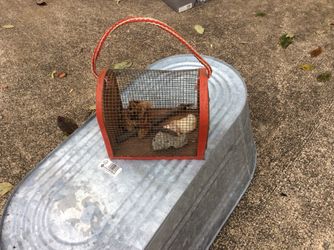 Crab cage