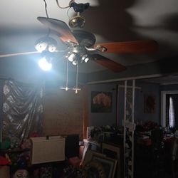 Ceiling Fan