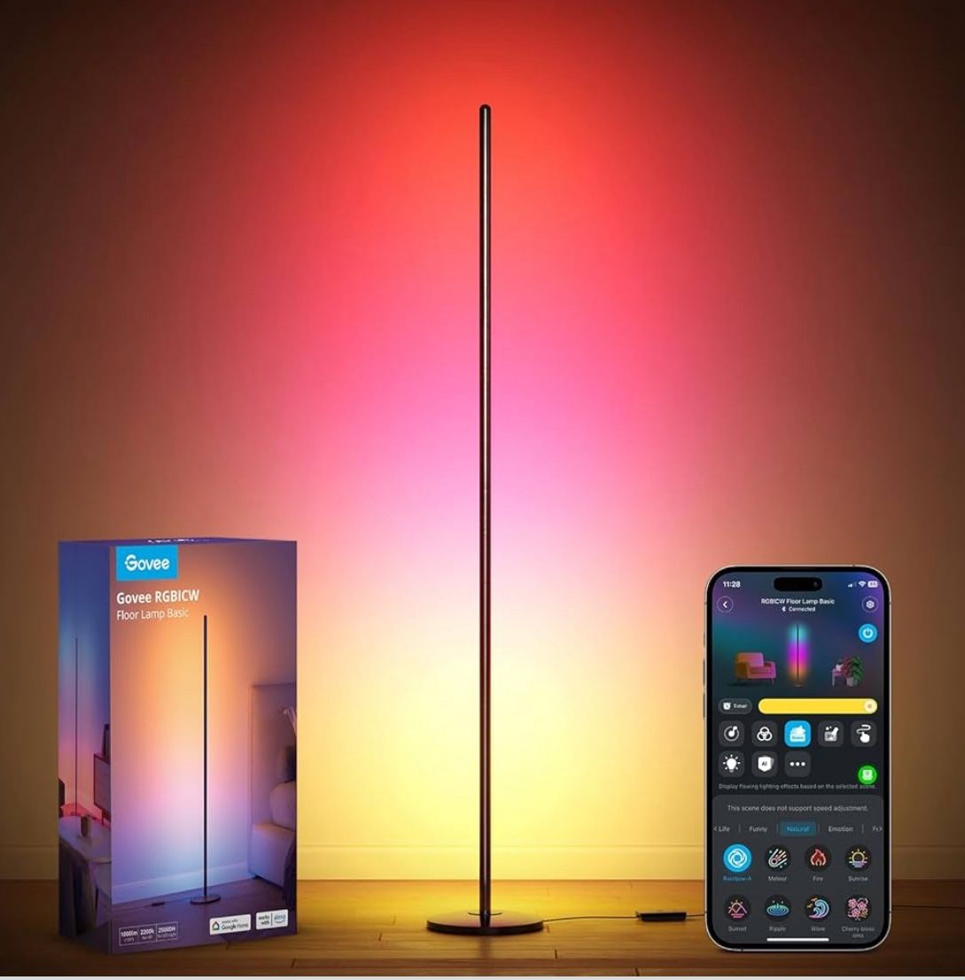 Govee Floor Lamp