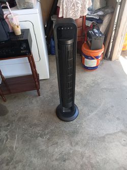 Fan