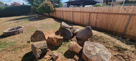 FREE WOOD
