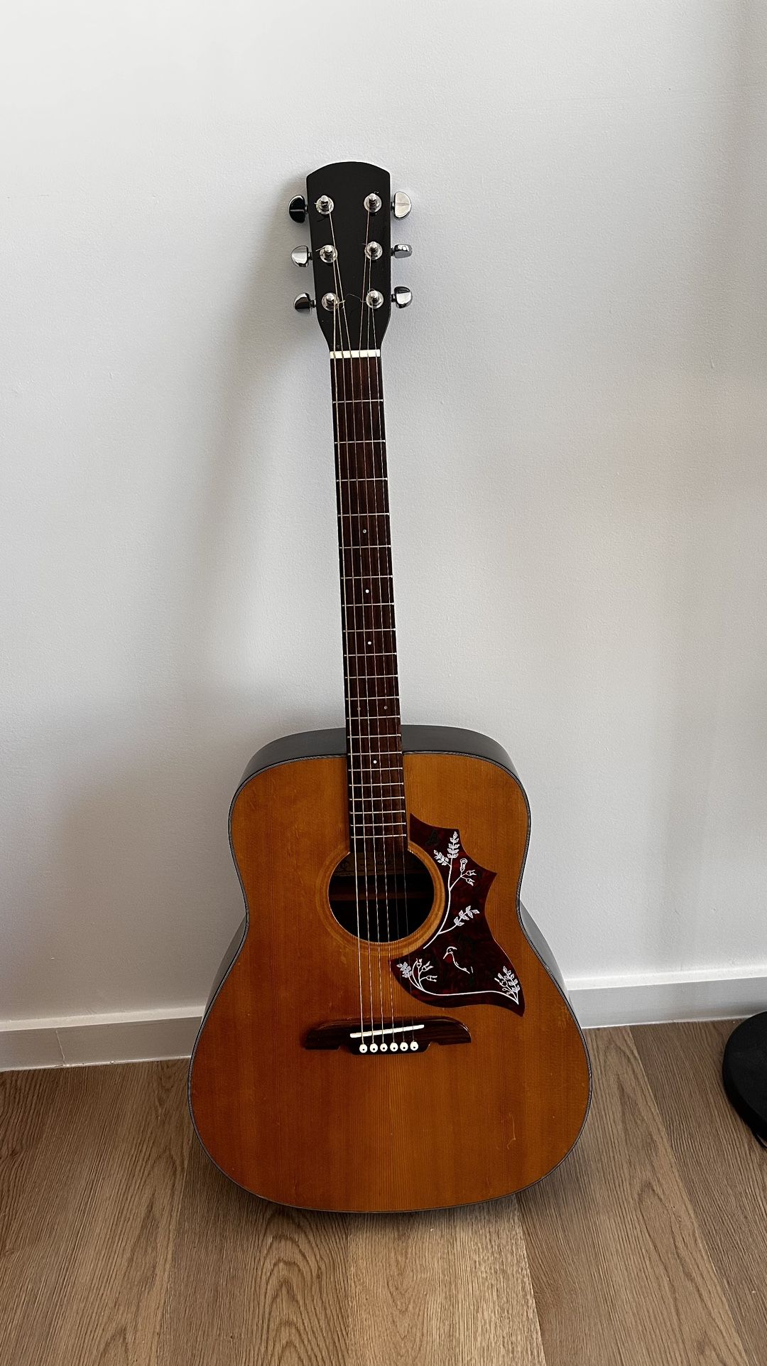 Beautiful Alvarez Acoustic Guitar – Floral Pick-guard
