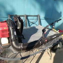 Leaf And More Blower 