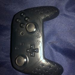 Nintendo Switch Controller 