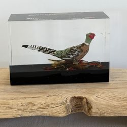 Vintage Lucite Paperweight Pheasant Home Desk Shelf Decor |  3-5/8”W x 2-3/8”H