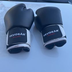 Kickboxing Gloves