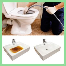 plumber drain specialist