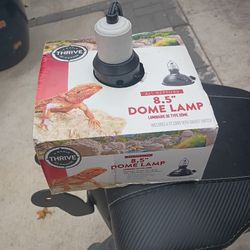 Dome Lamp 8.5"