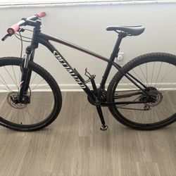Professional Bike 