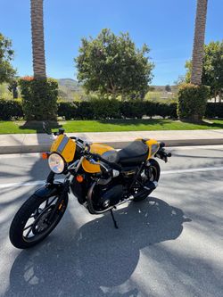 2017 Triumph Standard Street Cup