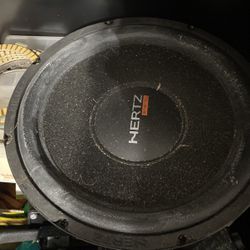 10in Subwoofer 