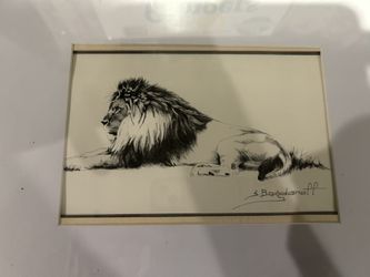 Realistic Lion Picture