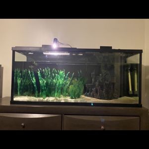 Fish Tanks For Sale In Tennessee Offerup
