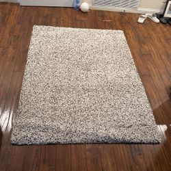 Used Bedroom Rug Neutral Color