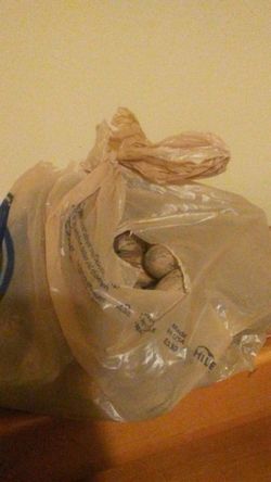 Full gallon bag of PECANS