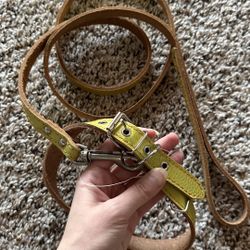 Collar And Leash Set