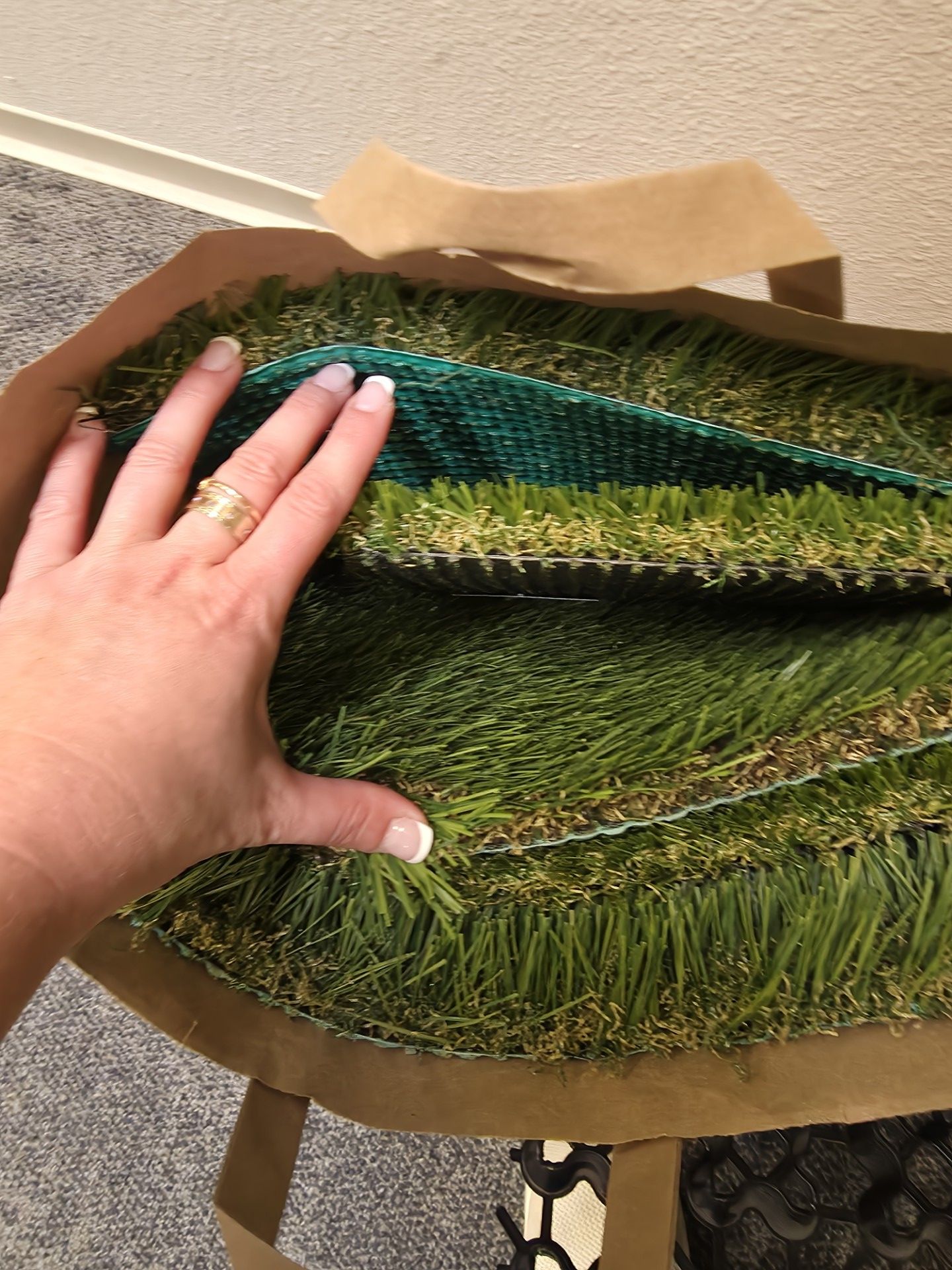 Free Turf Samples for Sale in San Diego, CA - OfferUp