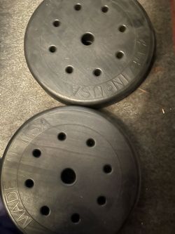 2 - 5 lb weights and 2 - 20 lb weights