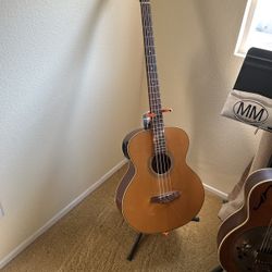 Acoustic Electric Bass