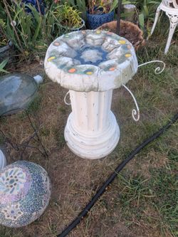 Bird bath