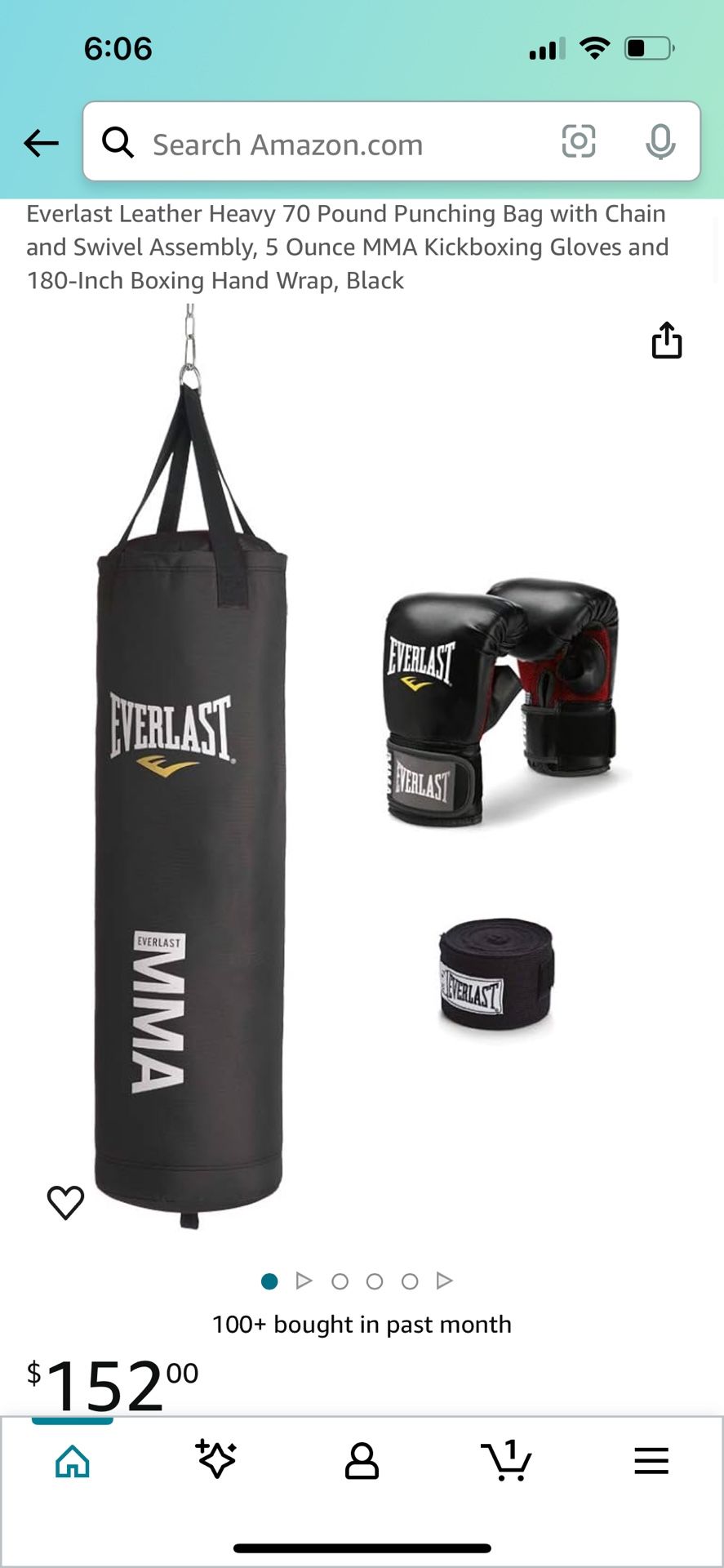 Everlast mma punching shops bag