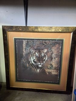 Tiger picture