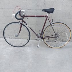 Niko Vintage Bike