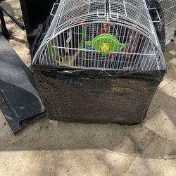 Two Different Bird Cages 