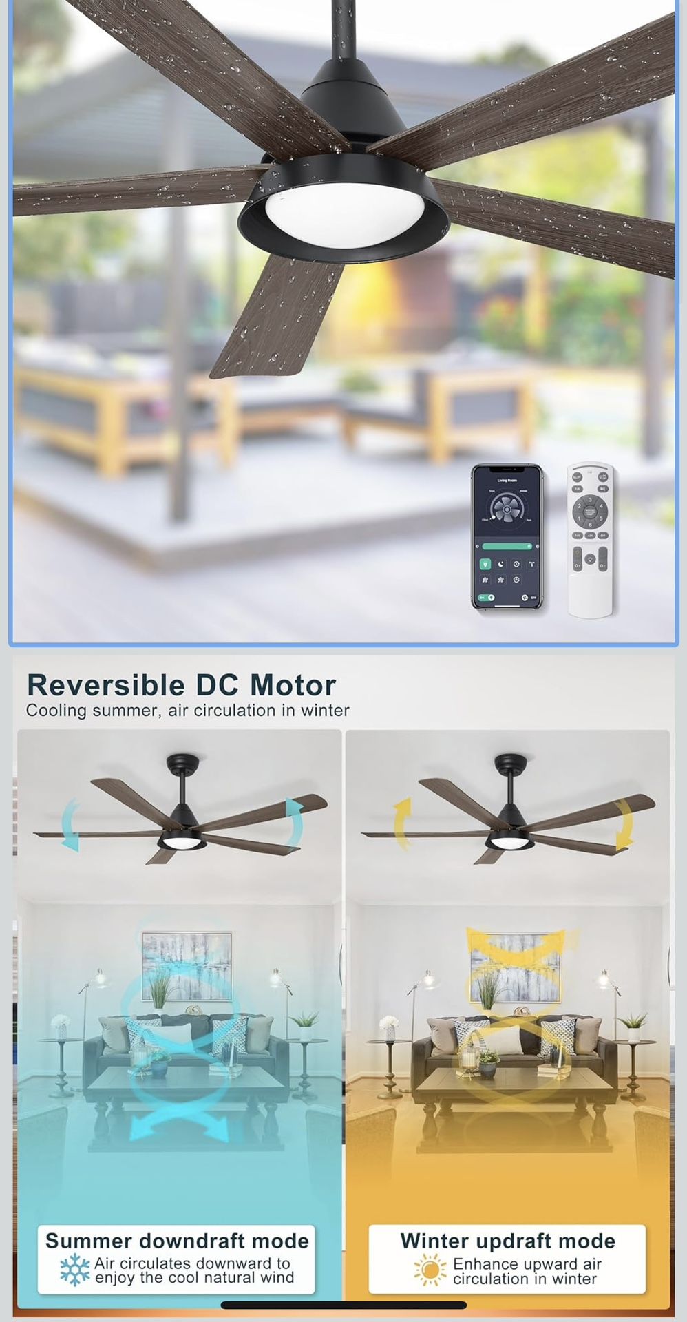 Ceiling Fan