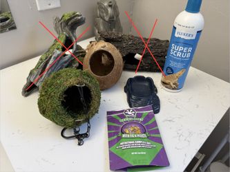 Reptile Supplies Geckos Lizard