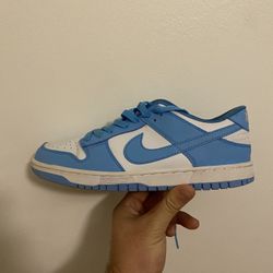Nike Dunk Lows “ Coast/ Polar Blue” Size 9.5 