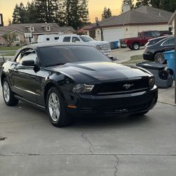 2010 Ford Mustang 