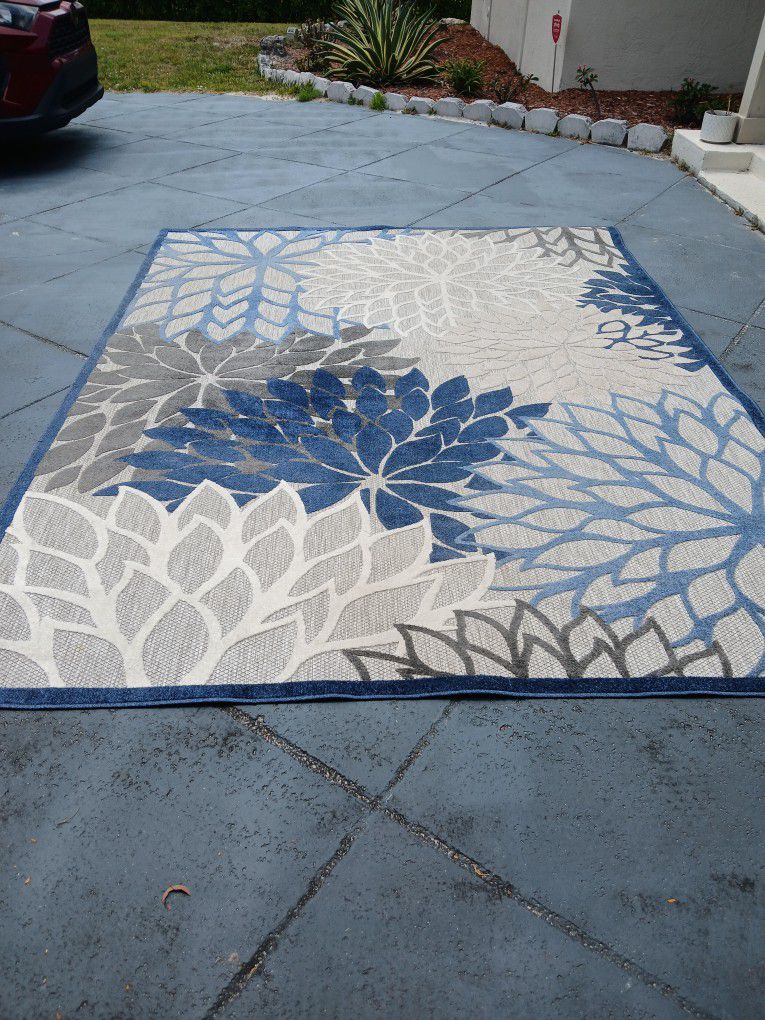 Outdoor Area Rug For $20 (8ftx10ft)